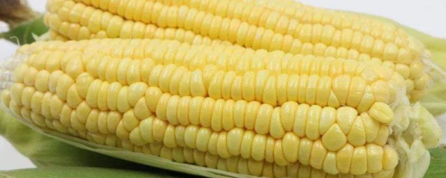 水果玉米到底是不是转基因食物(水果玉米是不是转基因农产品)