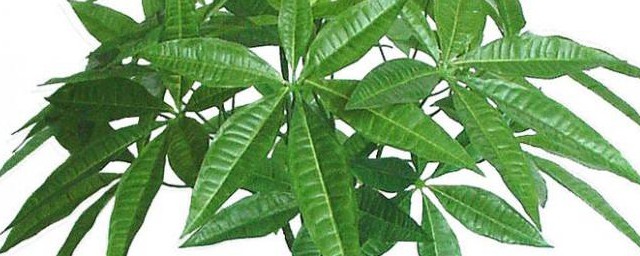 这6点在平时要注意了(不注意这4点)