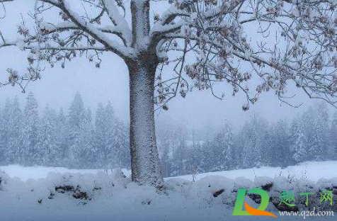 2021数九天最冷是几九(几九最冷2021年三九天时间表)