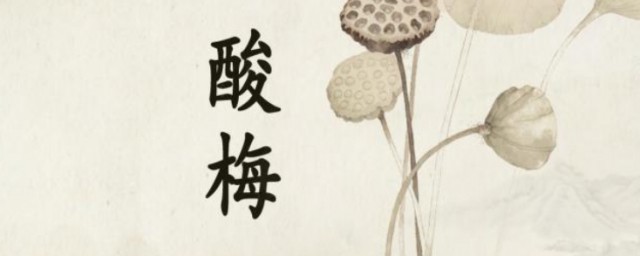 酸梅小说内容简介(酸梅小说 百度百科)