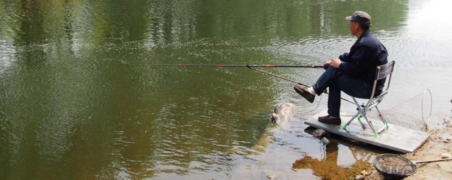 具体鱼饵介绍(鱼饵种类及使用方法)