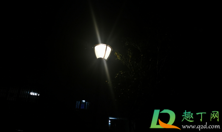义乌晚上路灯怎么全灭了(义乌路灯停电)