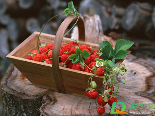 草莓洗了可以过夜吗(草莓洗了放冰箱可以过夜吗)