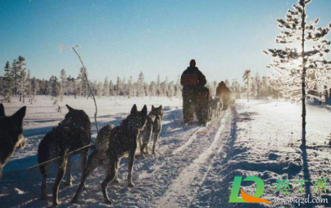 12月是初冬还是隆冬2021(2021冬月12是几月几日) 12月是初冬还是隆冬2021(2021冬月12是几月几日)