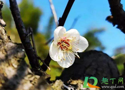 2021全国气温什么时候开始回升(2021气温什么时候下降) 2021全国气温什么时候开始回升(2021气温什么时候下降)