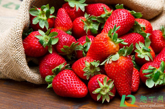 草莓硬的好还是软的好(草莓比较硬是什么原因)
