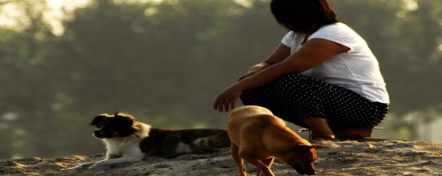 这部电视剧讲述了什么？(这部电视剧叫什么?)