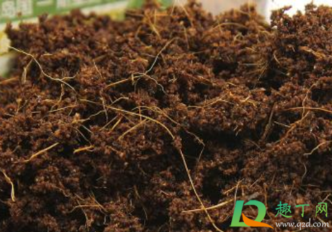 椰砖土养花需要配普通土吗(养花用椰砖土还是营养土) 椰砖土养花需要配普通土吗(养花用椰砖土还是营养土)