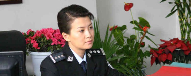 铁骨芳心(铁骨芳心第二部叫什么)