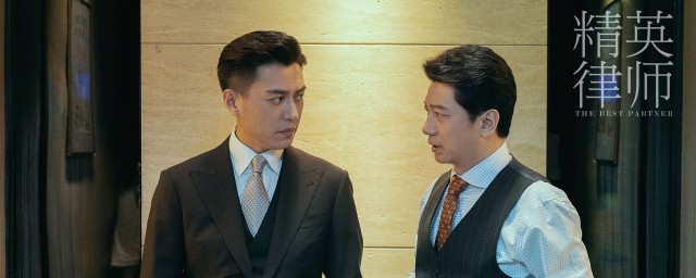 精英律师剧情简介(精英律师剧情介绍大结局是什么)