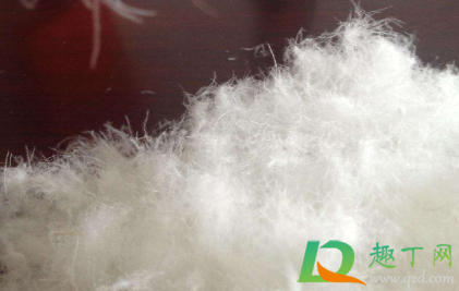 怎么看是不是假羽绒服(如何判断羽绒服的真假)