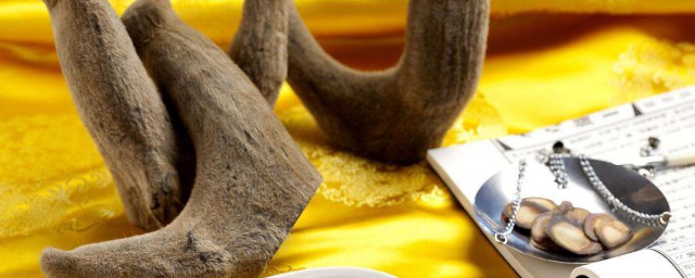 鹿茸可以携带入境吗(鹿茸能带上飞机出国吗)