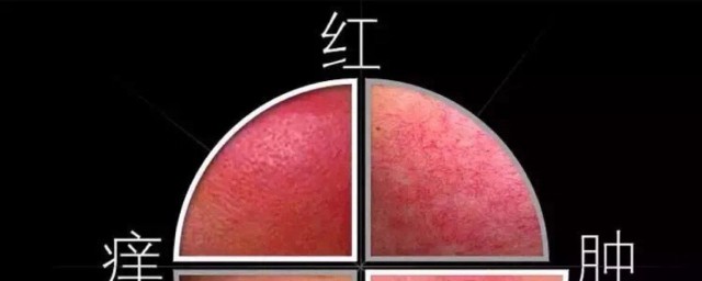 有哪些修复建议