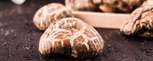 香菇跟什么食物搭配最好？(香菇搭配什么吃)