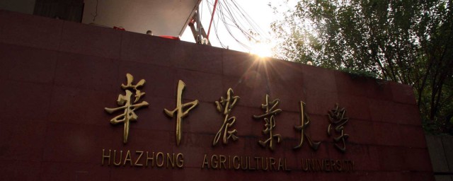 是一流高校吗(一流高校什么意思)