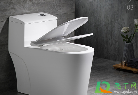 袜子掉马桶里冲走了会不会堵(袜子掉马桶里会不会堵住)