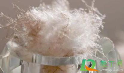 羽绒服买鸭绒好还是鹅绒好(羽绒服选鸭绒好还是鹅绒好) 羽绒服买鸭绒好还是鹅绒好(羽绒服选鸭绒好还是鹅绒好)