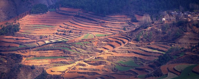 云南的气候特点(云南的气候特点和地理位置)