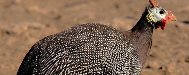 下面就教大家几个方法吧(最简单的方法吧)