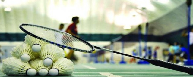 羽毛球属于哪一类运动(羽毛球又称什么运动)