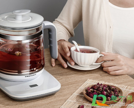 养生壶什么牌子好(养生壶什么牌子好又耐用) 养生壶什么牌子好(养生壶什么牌子好又耐用)