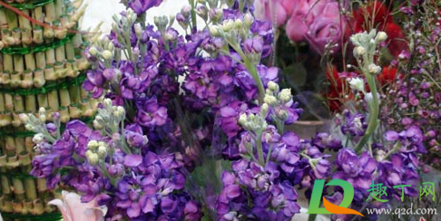 今年冬至扫墓要预约吗2020(2020冬至扫墓时间)