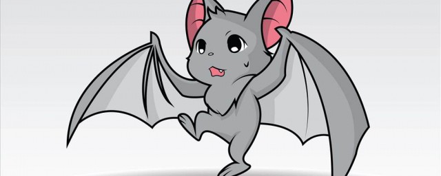 翼手目动物之一(翼手目百科)