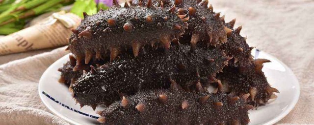 海参的功效(海参的功效与作用及营养)