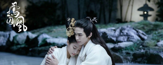 凤囚凰剧情简介(凤囚凰剧情简介百度知道)