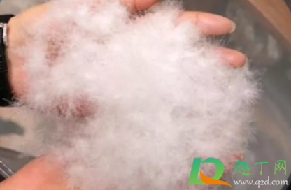 羽绒服买鸭绒好还是鹅绒好(羽绒服选鸭绒好还是鹅绒好) 羽绒服买鸭绒好还是鹅绒好(羽绒服选鸭绒好还是鹅绒好)