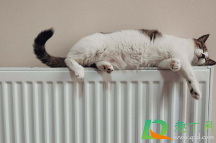 暖气管漏水用什么胶带补漏(暖气管渗漏用什么胶水) 暖气管漏水用什么胶带补漏(暖气管渗漏用什么胶水)