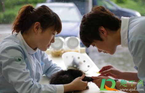 宠物看病比人贵合理吗(为什么给动物看病比人还贵)