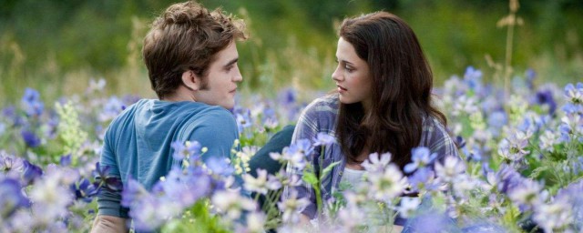 暮光之城创作背景(暮光之城是谁写的)