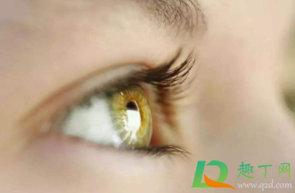 叶黄素吃多了会手脚发黄吗(吃叶黄素会脚底发黄吗)