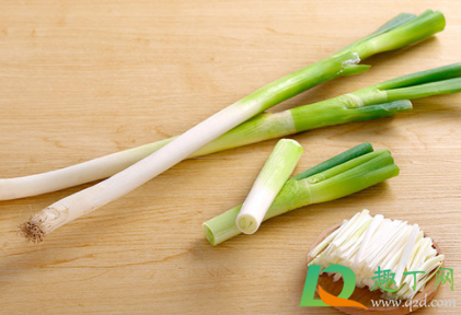 2021年种大葱能挣钱吗(2021年种洋葱挣钱) 2021年种大葱能挣钱吗(2021年种洋葱挣钱)