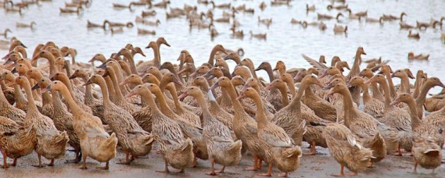 具体写法举例(写用例的几种写法)