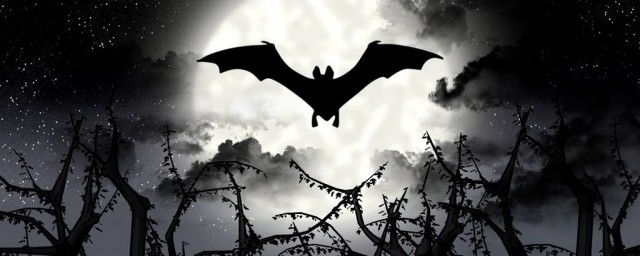 每窝产几个(一窝最少几个)