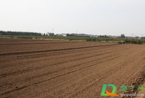 邻居建房影响我家采光有赔偿标准吗(邻里建房影响采光有规定吗)