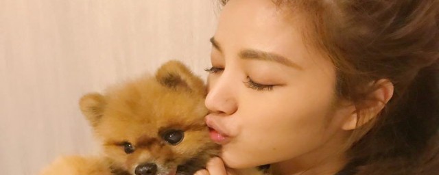 刘海碎发扎头发教程(碎刘海怎么扎)