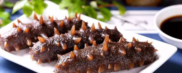 海参有什么好处(海参对女人的功效与作用)