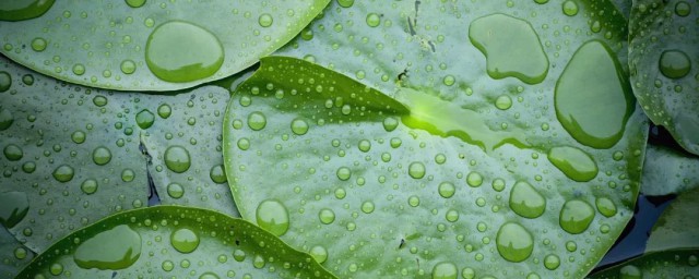 冬至是按什么划分的节气(冬至介于哪两个节气之间)