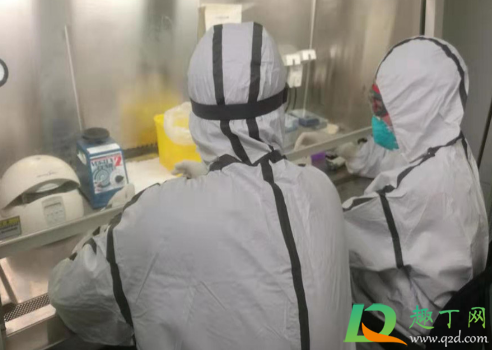 新疆吐鲁番出现疫情的源头是什么(吐鲁番疫情是什么时候发现的) 新疆吐鲁番出现疫情的源头是什么(吐鲁番疫情是什么时候发现的)