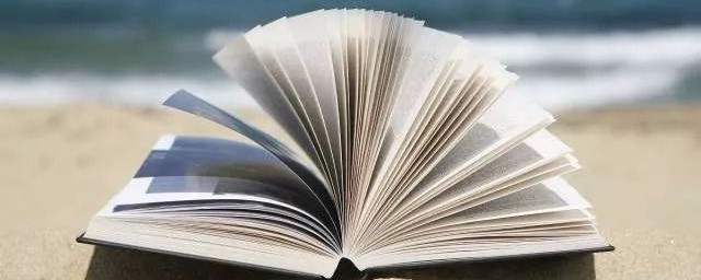 每句都很美(这句话真的很美)