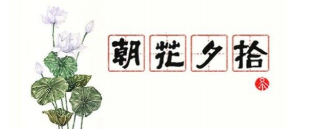 朝花夕拾中衍太太是怎么样的人(朝花夕拾中衍太太是一个什么样的人)