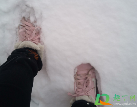 冬天身子不冷为什么脚老凉(身子不冷但是脚凉)