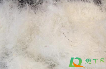 飞丝绒是什么材料做的(丝绒一般是什么材料) 飞丝绒是什么材料做的(丝绒一般是什么材料)