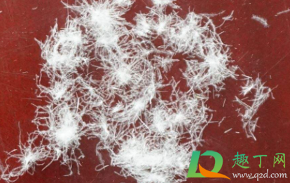 碎绒羽绒服好吗(羽绒很碎好吗)