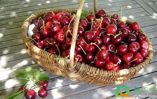 车厘子空心的能吃吗(车厘子空心怎么回事) 车厘子空心的能吃吗(车厘子空心怎么回事)