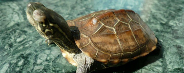 看完之后才明白原来是这样(后来才看清楚)