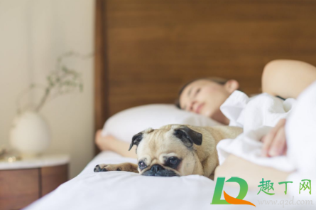 冬天睡觉冷点好还是热点好(晚上睡觉热点好还是凉点好) 冬天睡觉冷点好还是热点好(晚上睡觉热点好还是凉点好)